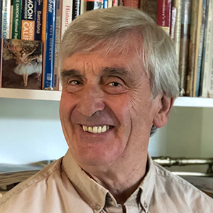 Nico Calavita